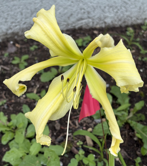 6a63b919763ed0.69003502.jpeg
